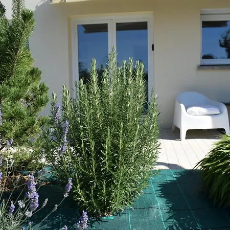 Aparthotel Les Sapins Verts